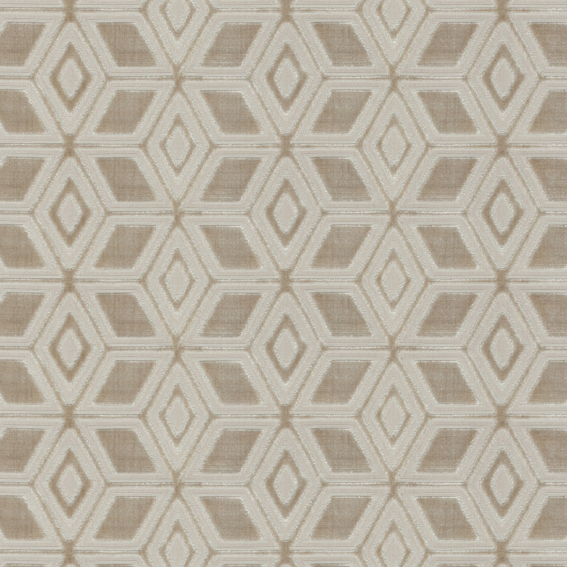 Purchase  Ann French Fabric Item AW72987  pattern name  Jardin Maze Velvet