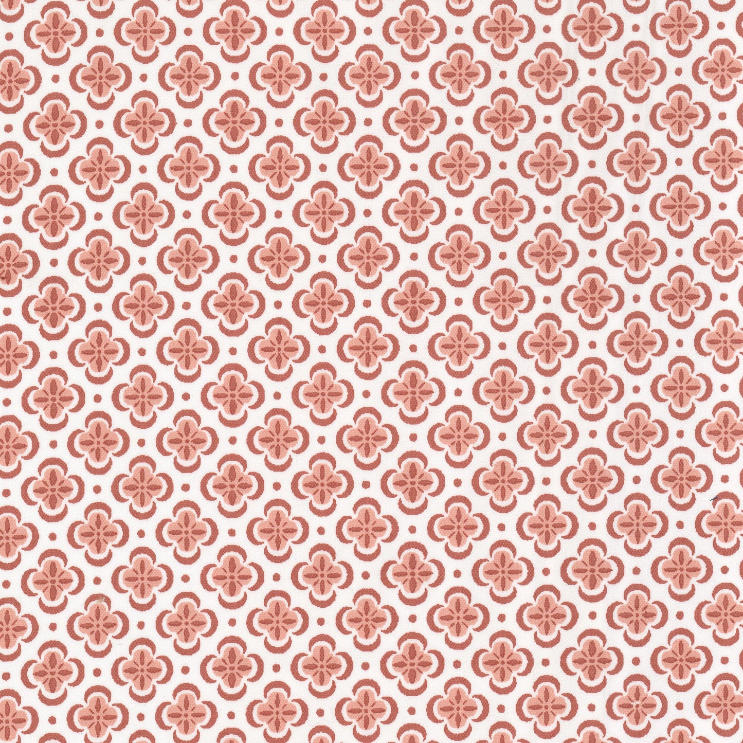 Purchase Stout Fabric Item Basilica 2 Carnation