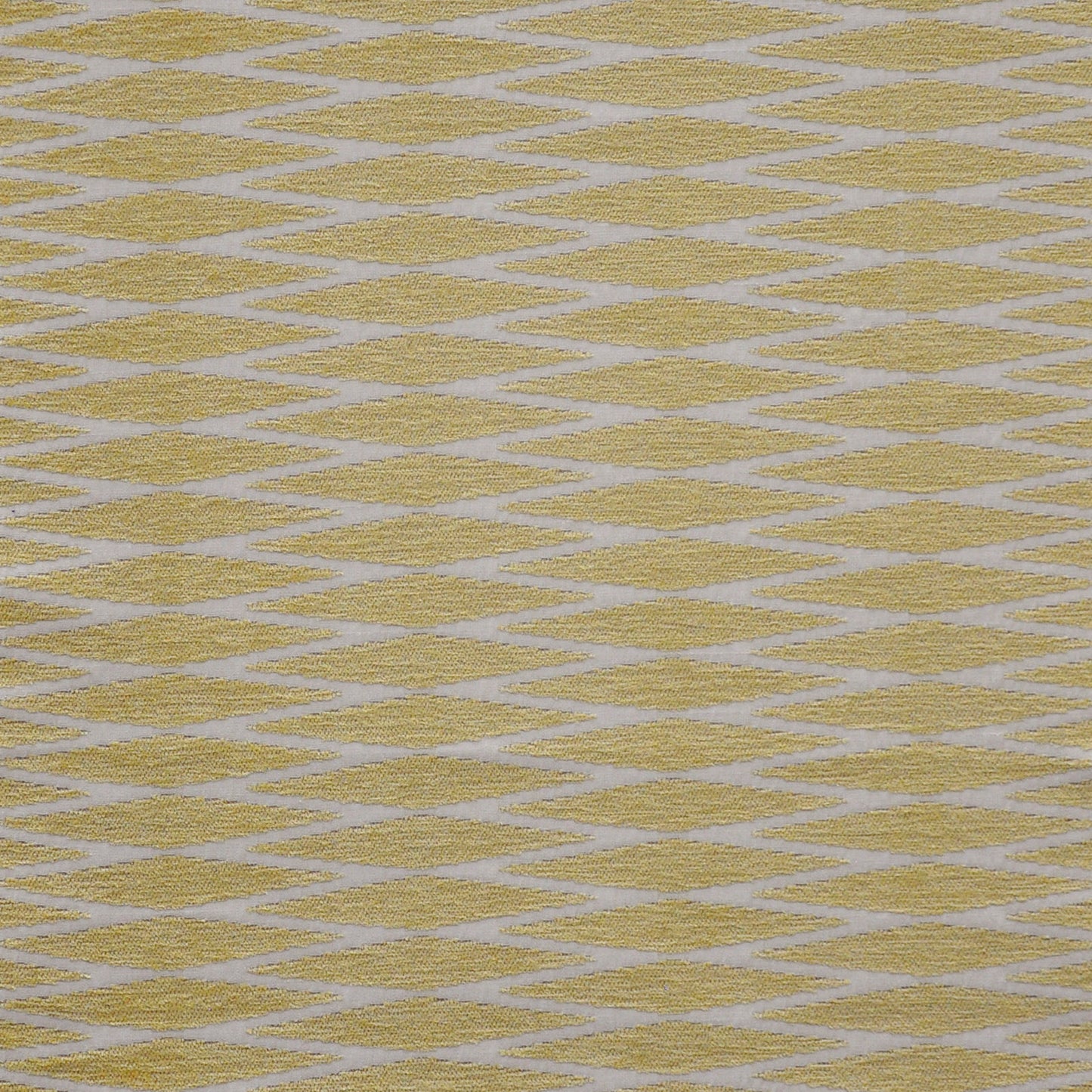 Purchase Maxwell Fabric - Backgammon, # 730 Buttercream