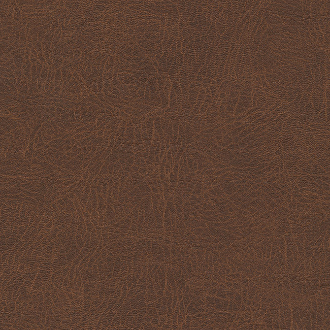 Purchase Maxwell Fabric - Barrel Race-Nj, # 133 Mocha