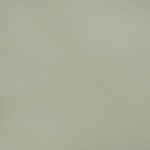 Sample - Beech.1511.0 | Kravet Design, Faux Leather Iv - Kravet Design Fabric