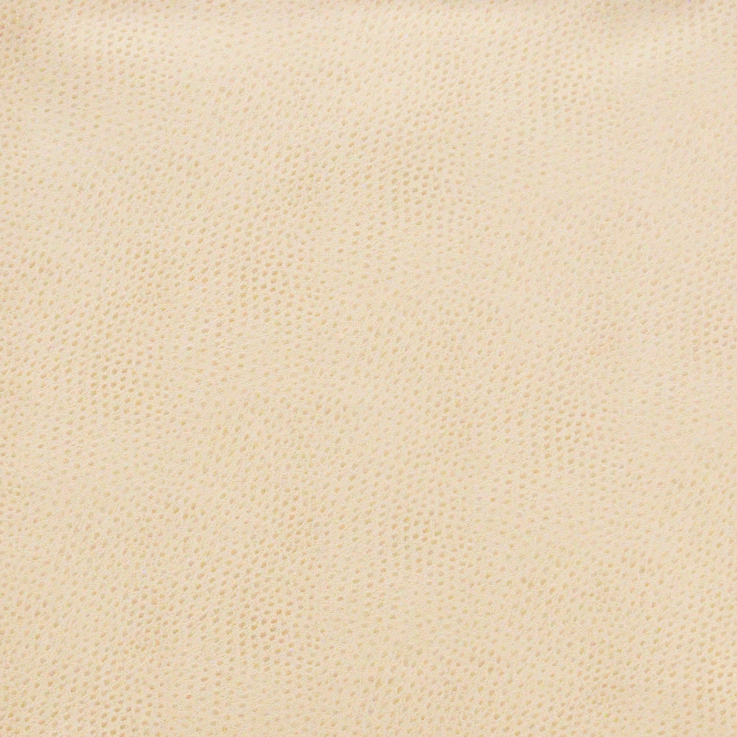 Purchase Maxwell Fabric - Buckeye, # 702 Marshmallow