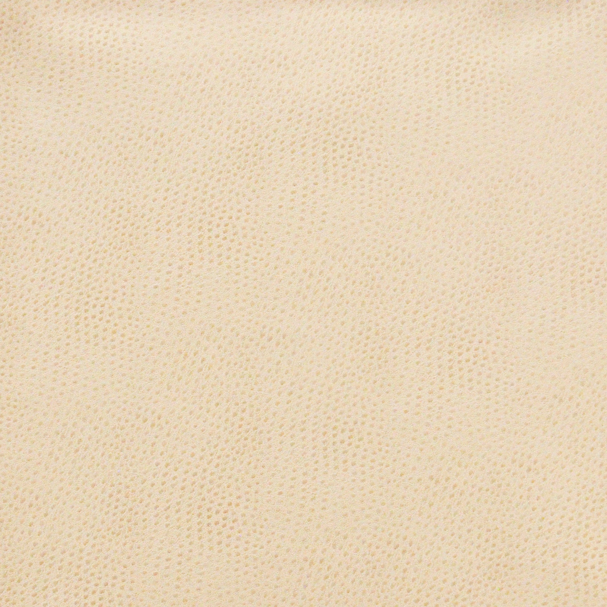 Purchase Maxwell Fabric - Buckeye, # 702 Marshmallow