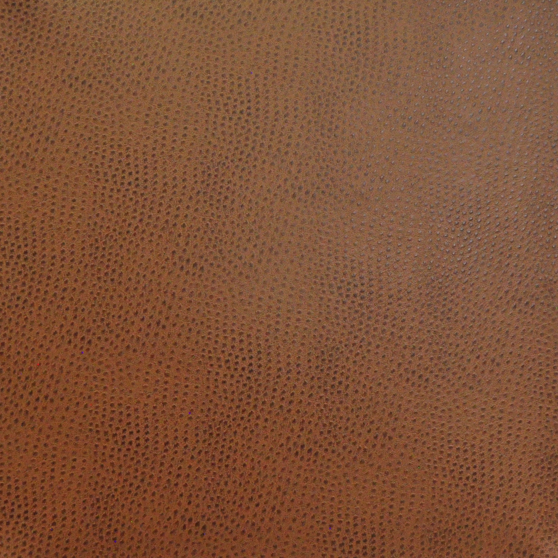 Purchase Maxwell Fabric - Buckeye, # 714 Pecan