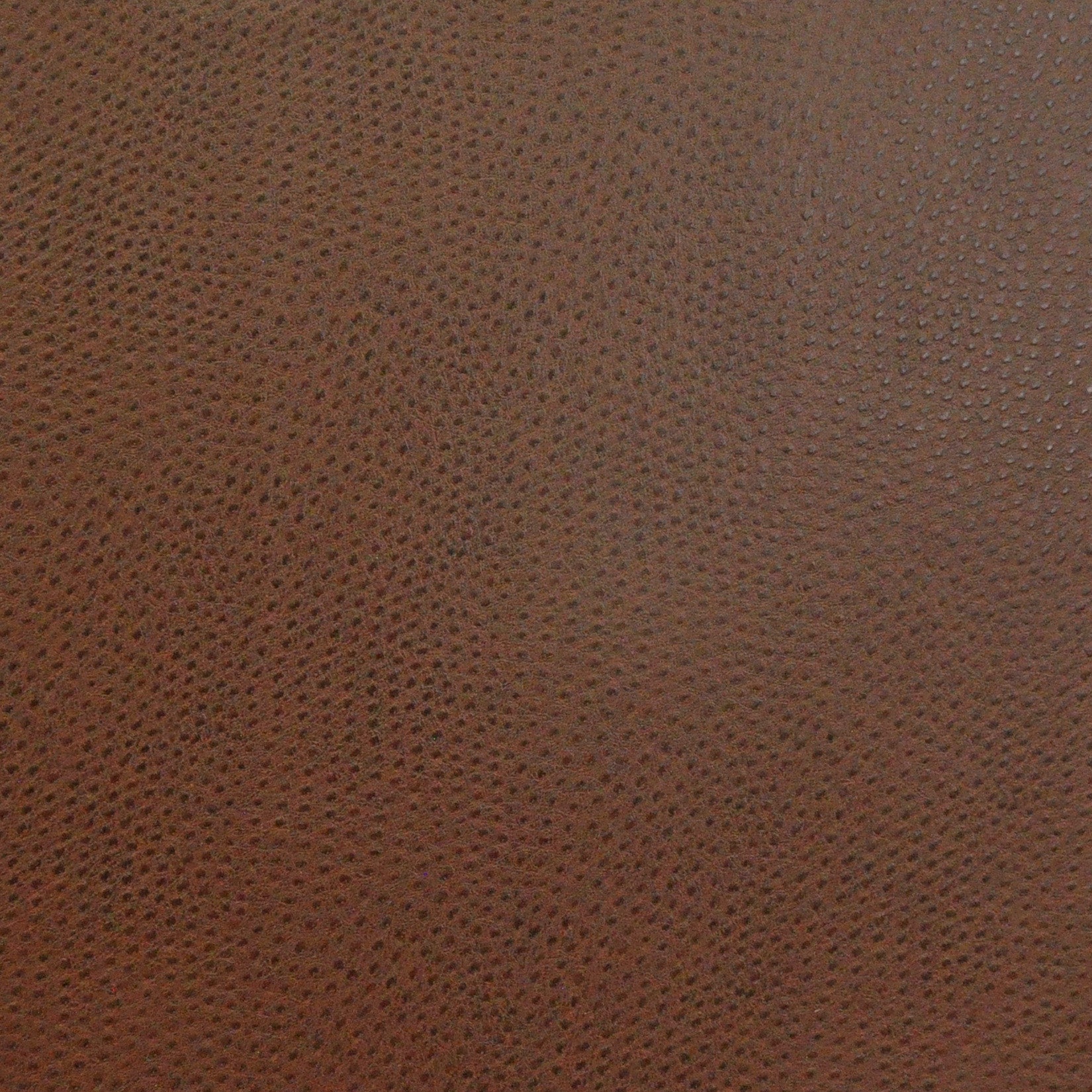 Purchase Maxwell Fabric - Buckeye, # 719 Fudge