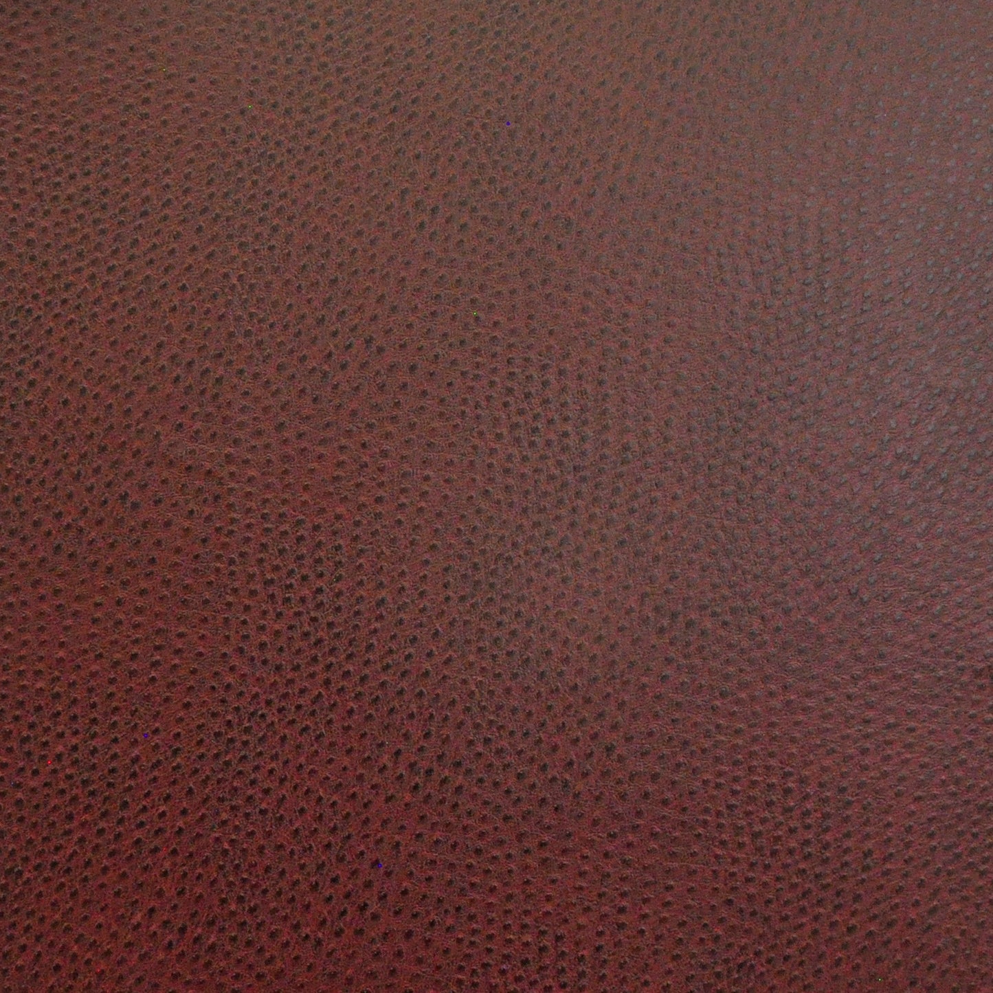 Purchase Maxwell Fabric - Buckeye, # 723 Sangria