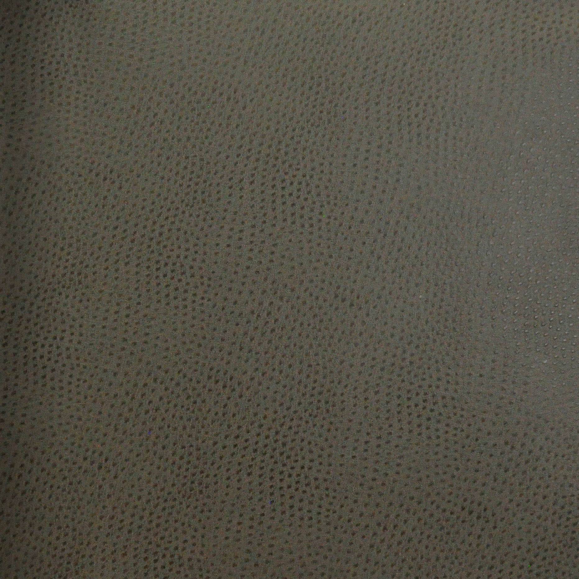 Purchase Maxwell Fabric - Buckeye, # 741 Pewter