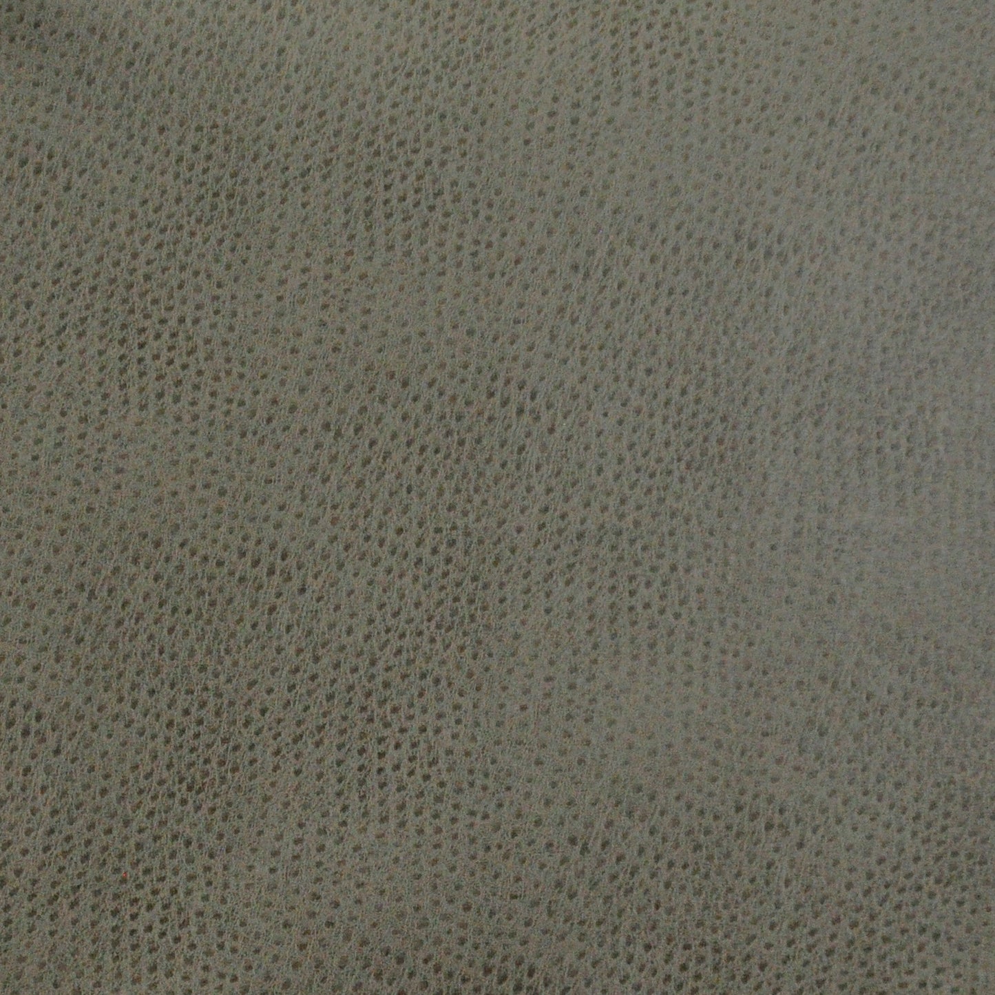 Purchase Maxwell Fabric - Buckeye, # 745 Wolf