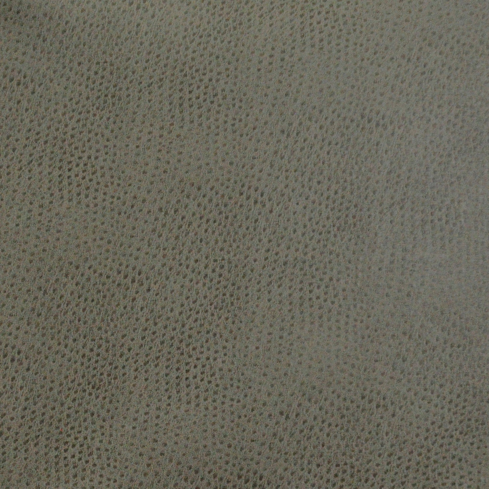 Purchase Maxwell Fabric - Buckeye, # 745 Wolf