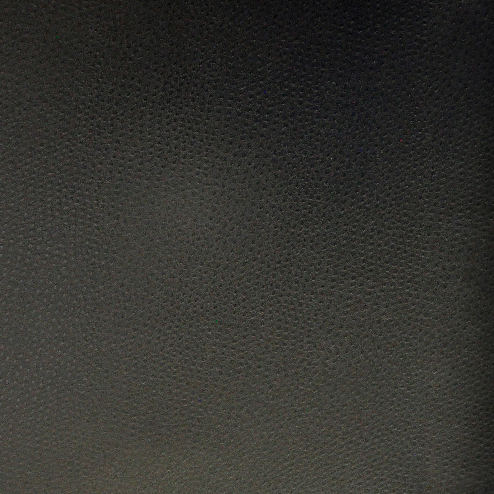 Purchase Maxwell Fabric - Buckeye, # 748 Raven