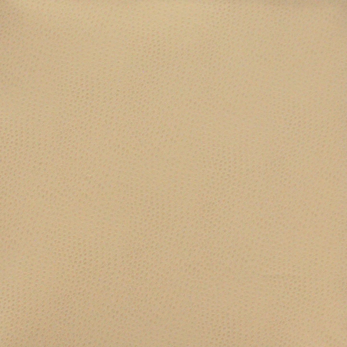 Purchase Maxwell Fabric - Buckeye, # 764 Sand