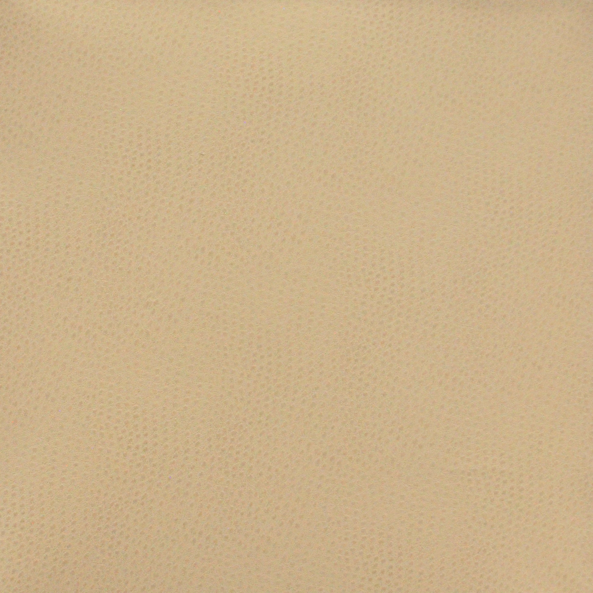 Purchase Maxwell Fabric - Buckeye, # 764 Sand