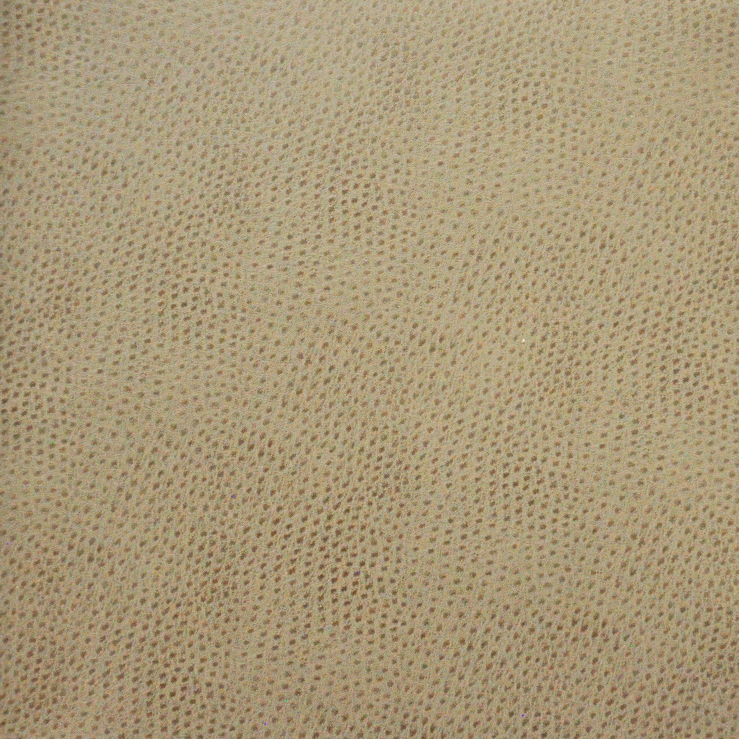 Purchase Maxwell Fabric - Buckeye, # 766 Haze