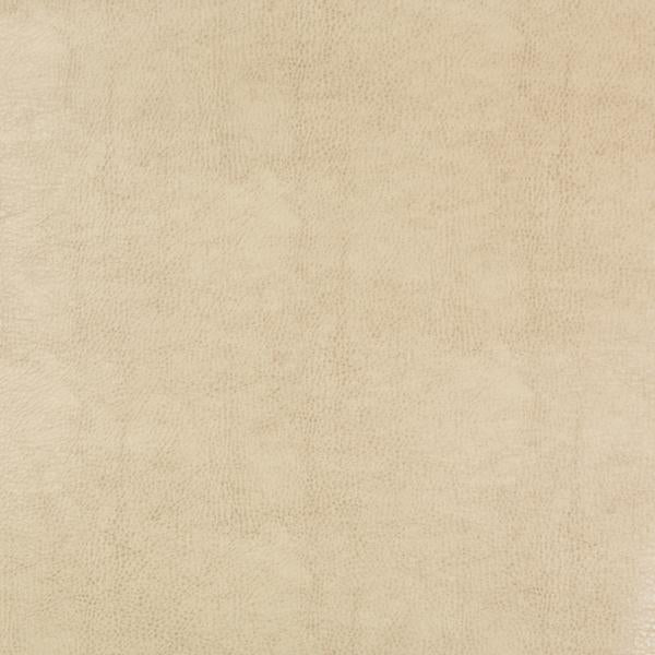 Sample - Beholder.116.0 | Kravet Design,  - Kravet Design Fabric