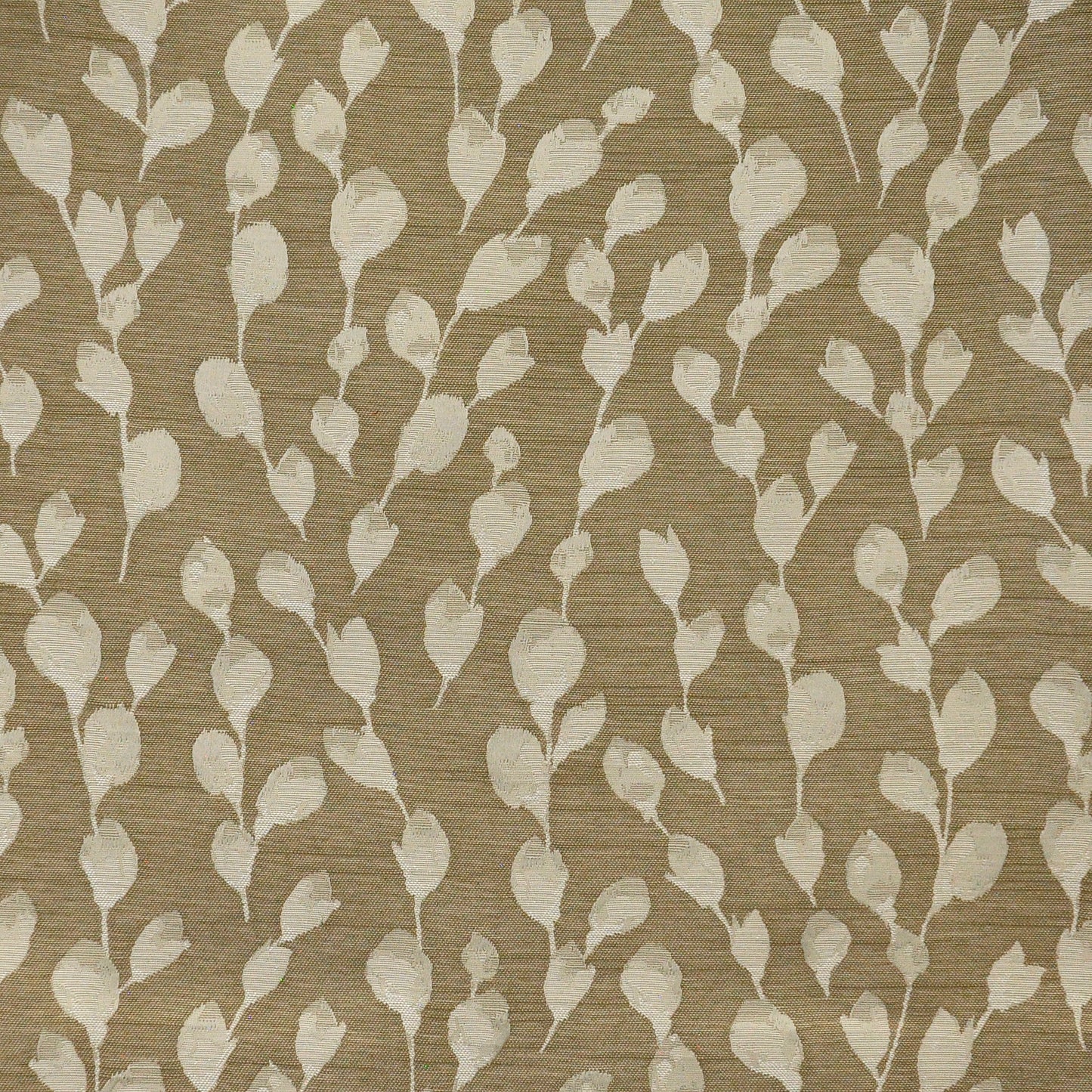 Purchase Maxwell Fabric - Belcarra, # 612 Sand