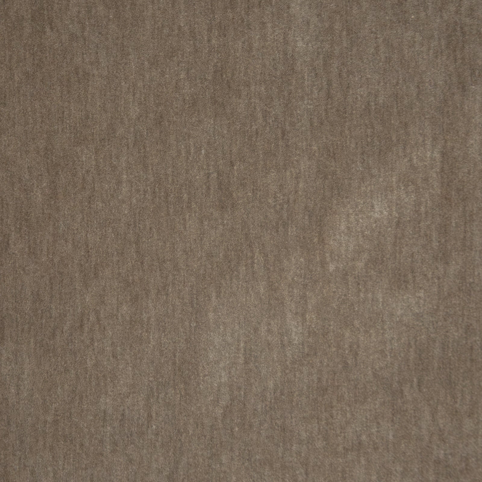 Purchase Maxwell Fabric - Belluno, # 101 Greyhound