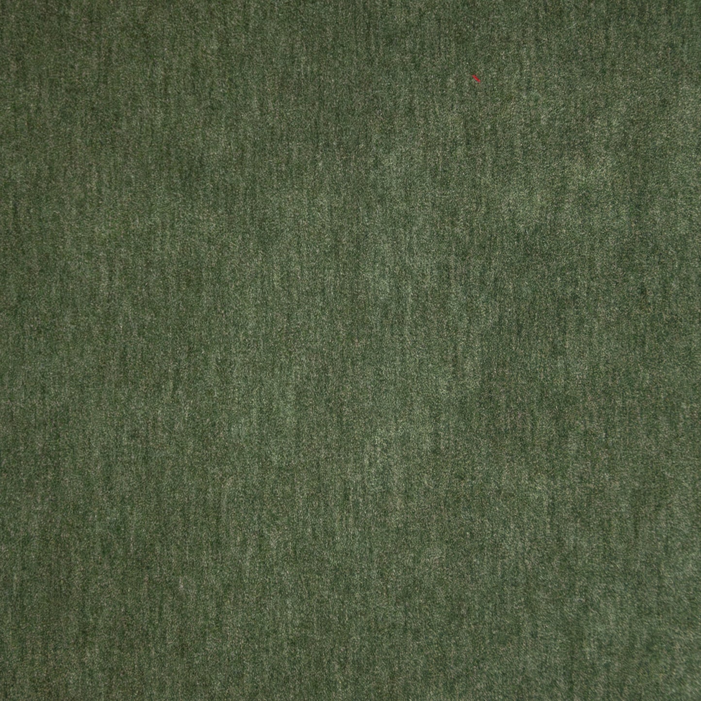 Purchase Maxwell Fabric - Belluno, # 106 Basil