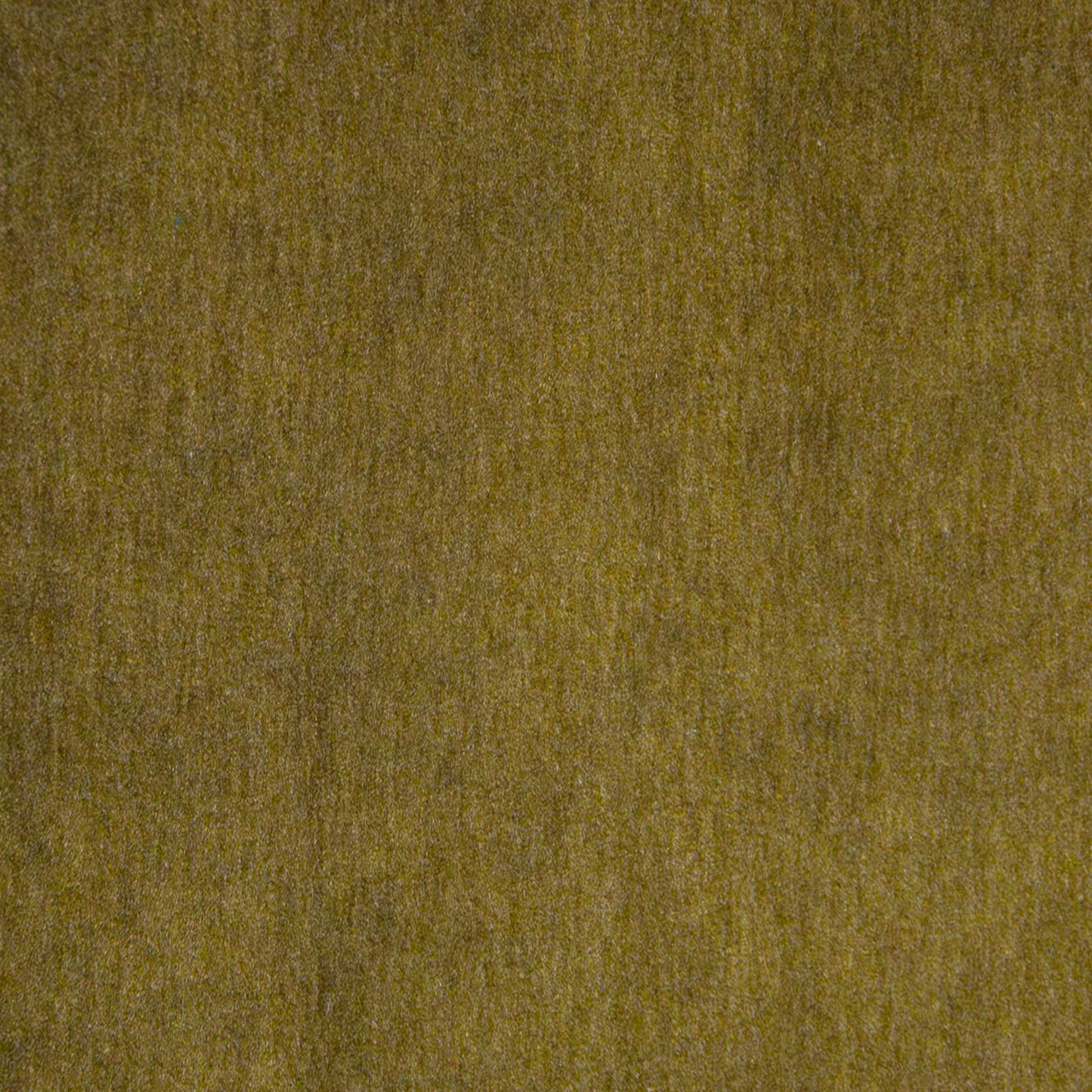 Purchase Maxwell Fabric - Belluno, # 107 Olive