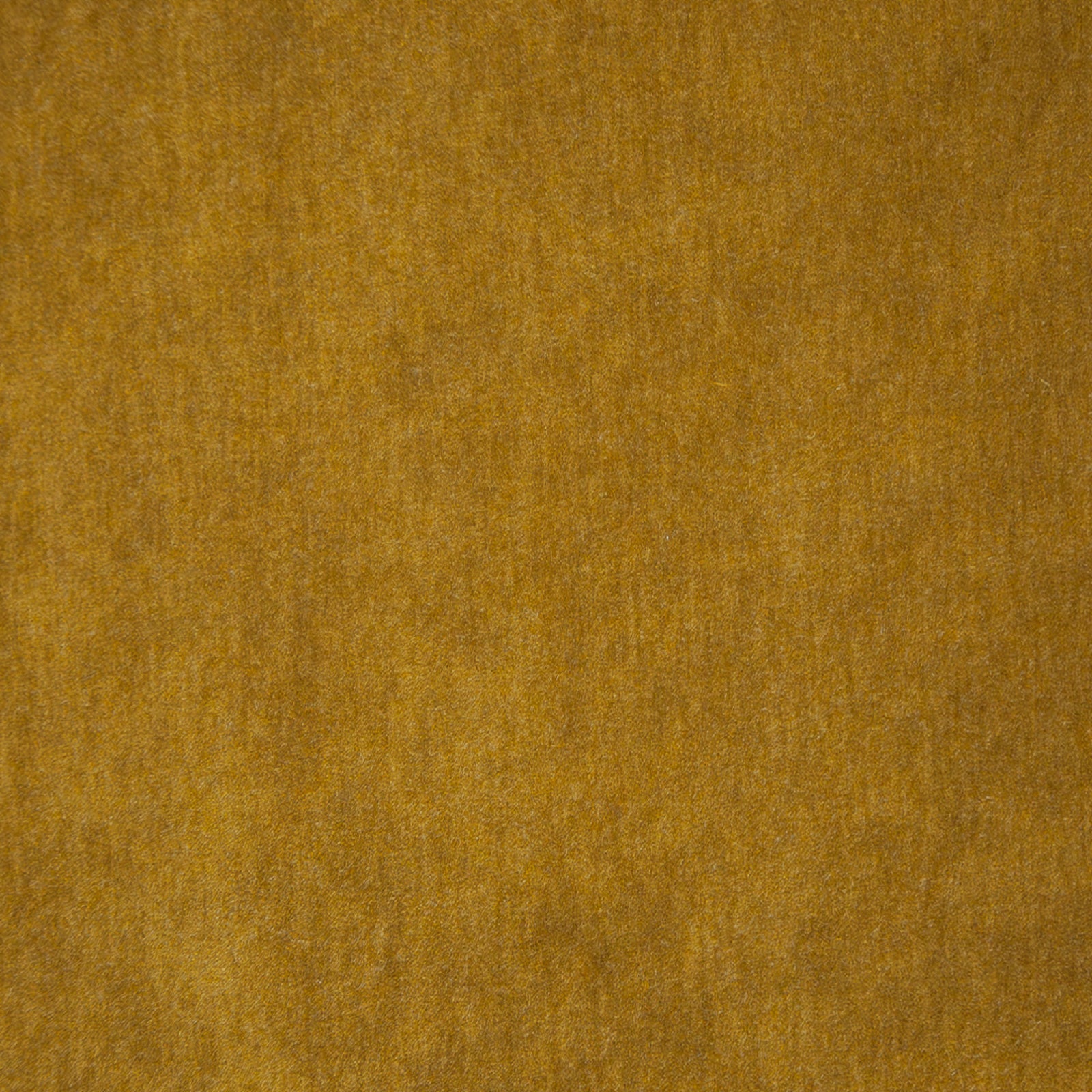 Purchase Maxwell Fabric - Belluno, # 108 Gold