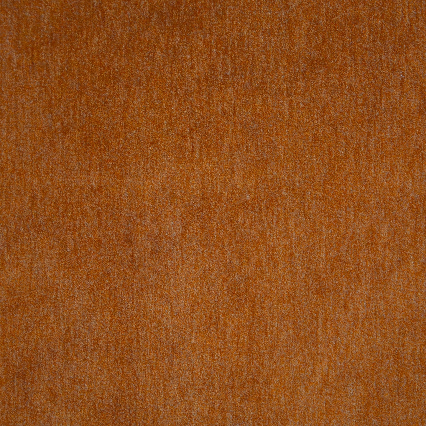 Purchase Maxwell Fabric - Belluno, # 109 Persimmon
