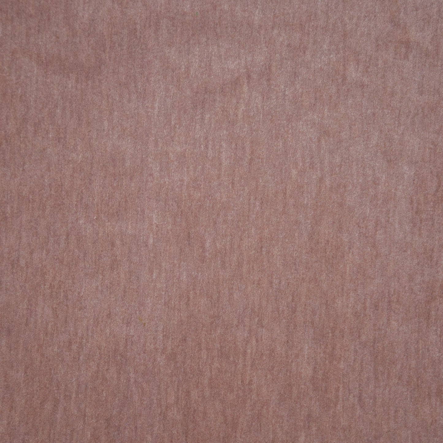 Purchase Maxwell Fabric - Belluno, # 114 Ballerina