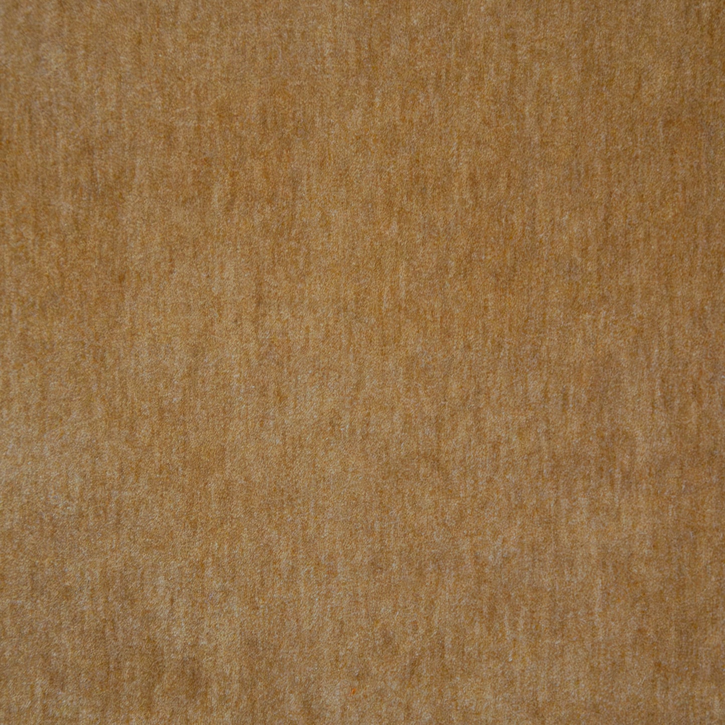 Purchase Maxwell Fabric - Belluno, # 117 Camel