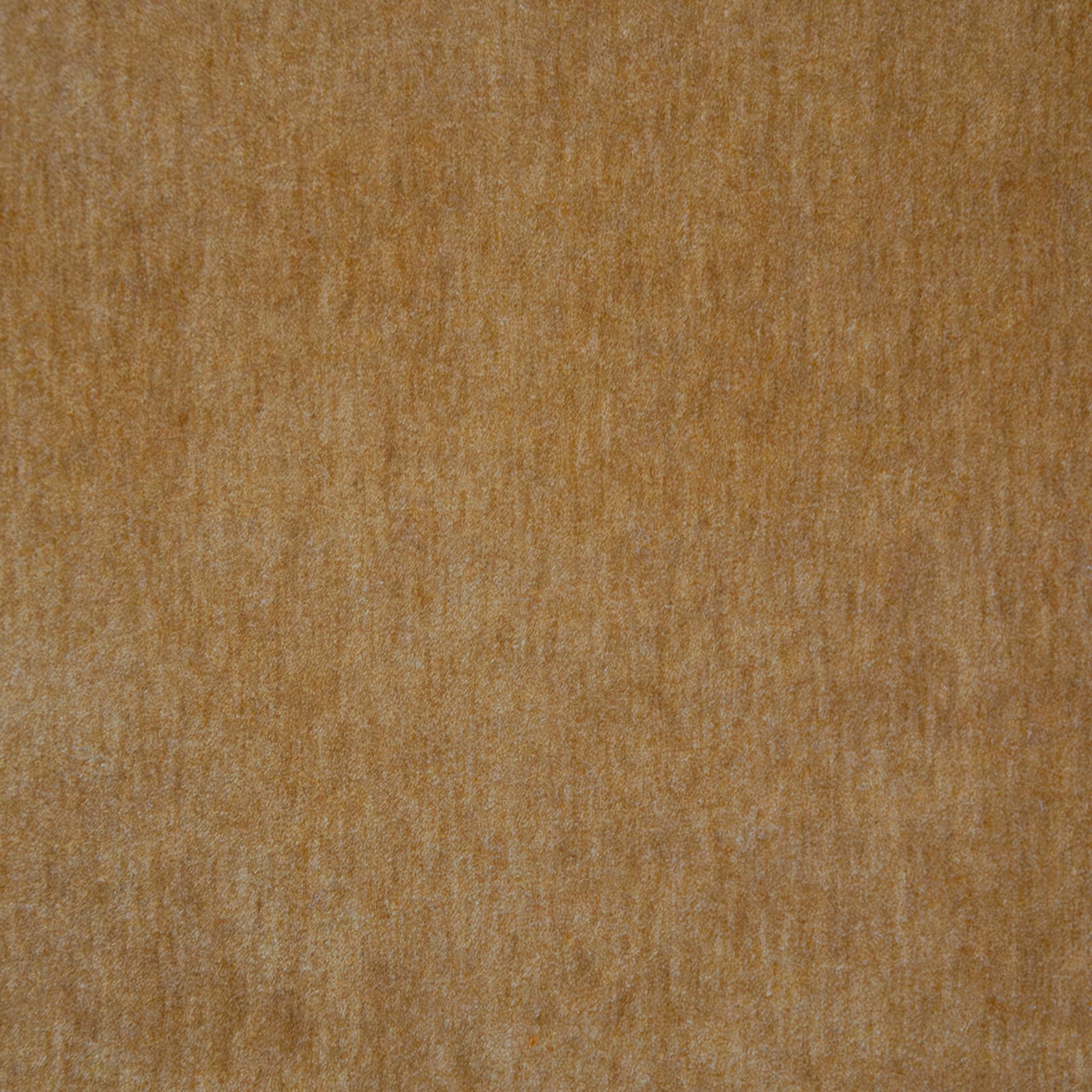 Purchase Maxwell Fabric - Belluno, # 117 Camel