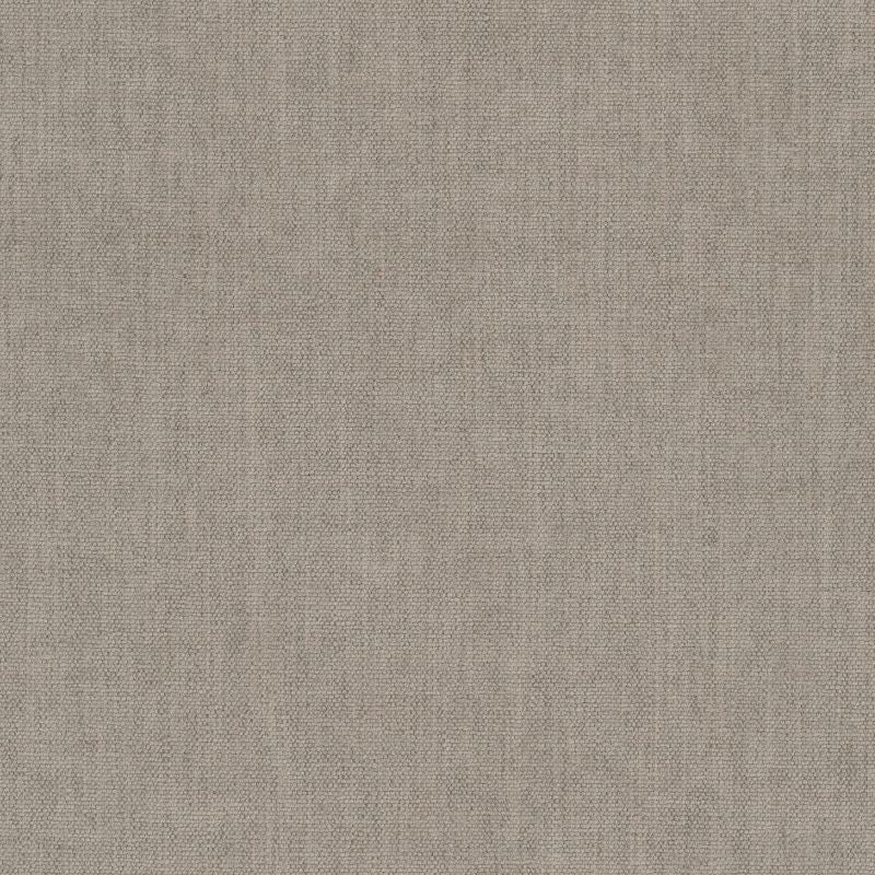 Purchase Stout Fabric Pattern# Beta 1 Pongee