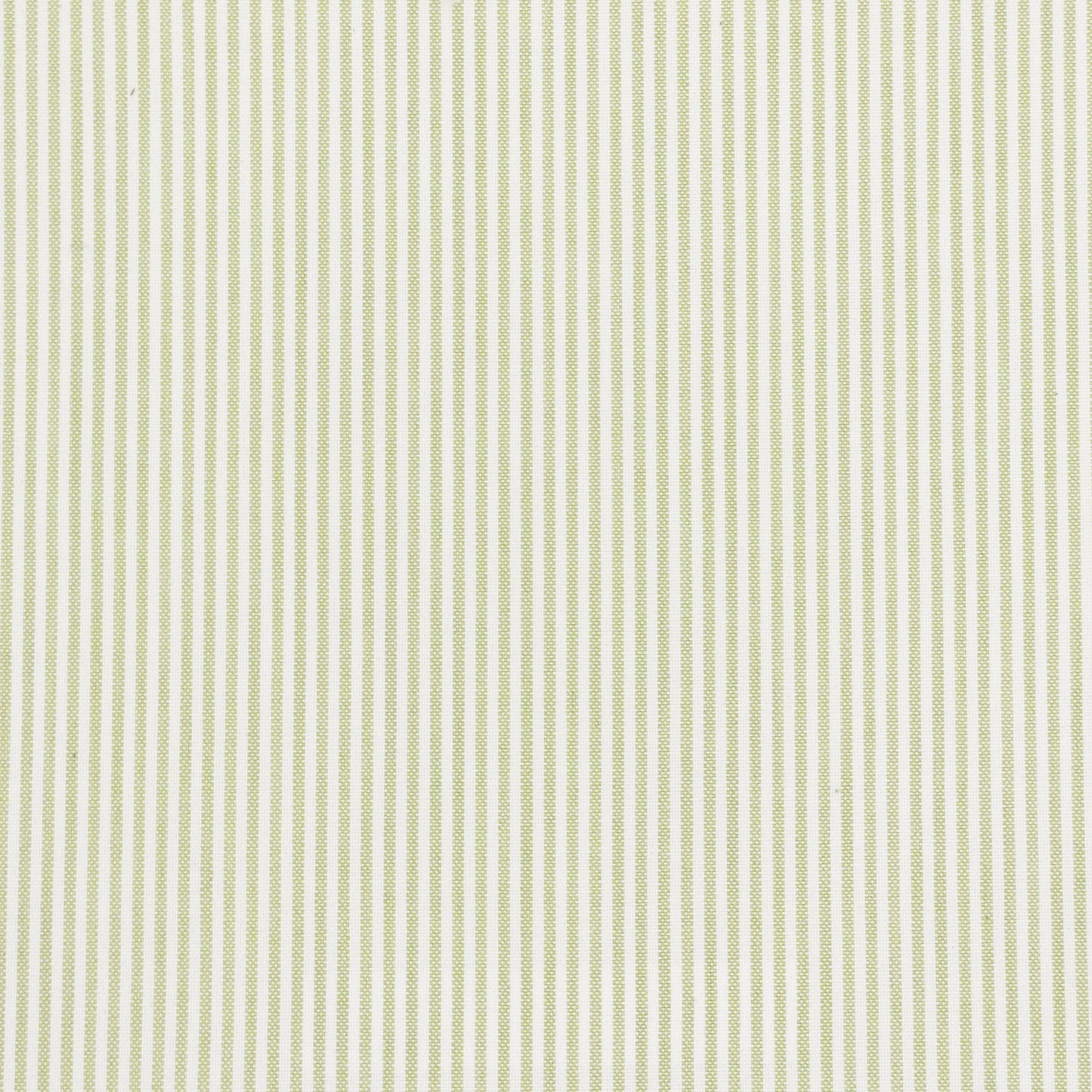 Purchase Stout Fabric SKU# Bethany 1 Lime