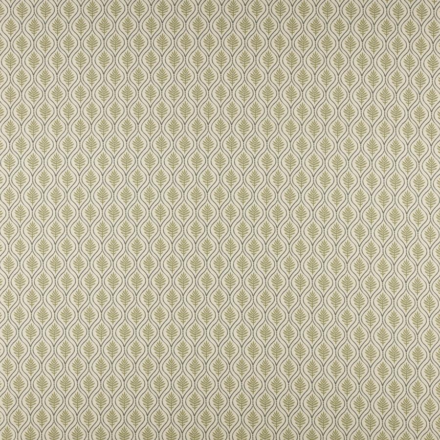 Purchase Maxwell Fabric - Birch, # 505 Olive