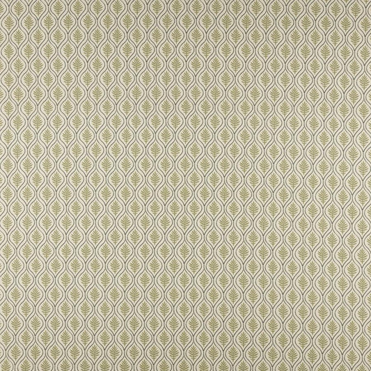 Purchase Maxwell Fabric - Birch, # 505 Olive