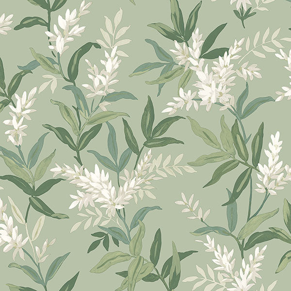 Purchase BG5907 Brewster Wallpaper, Olivia Sage Floral - Belgravia Decor