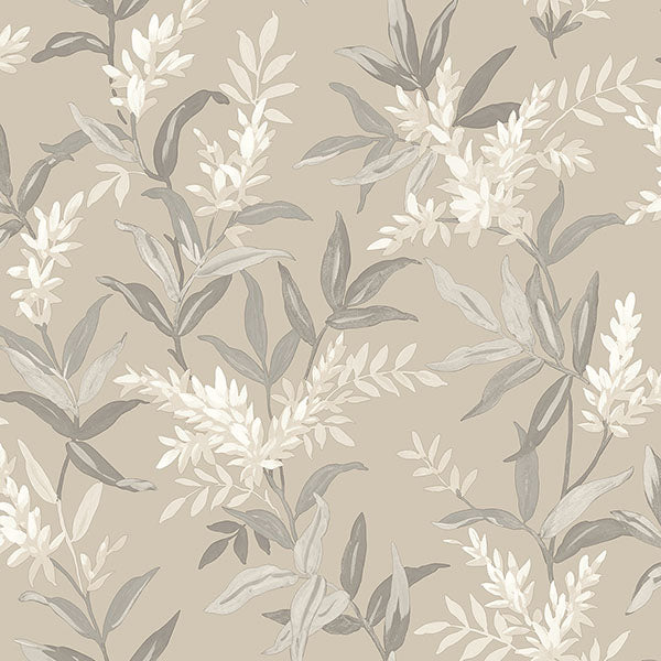 Purchase BG5908 Brewster Wallpaper, Olivia Beige Floral - Belgravia Decor
