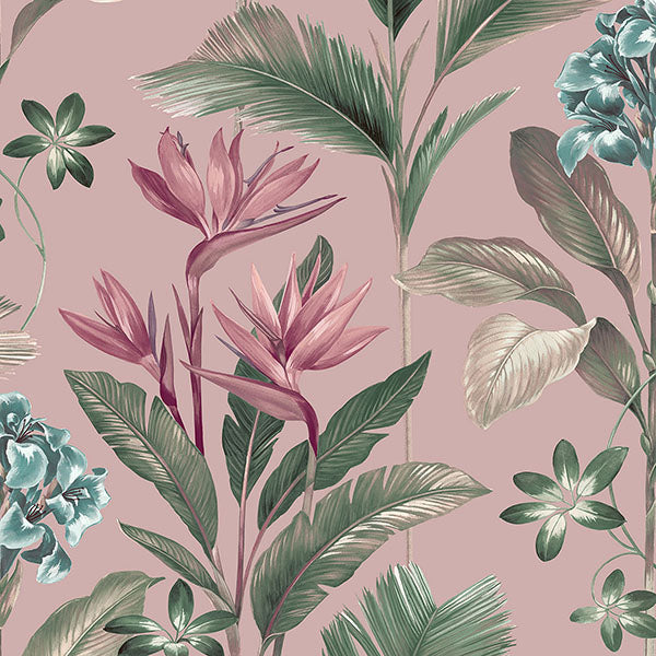 Purchase BG8485 Brewster Wallpaper, Oliana Pink Floral - Belgravia Decor