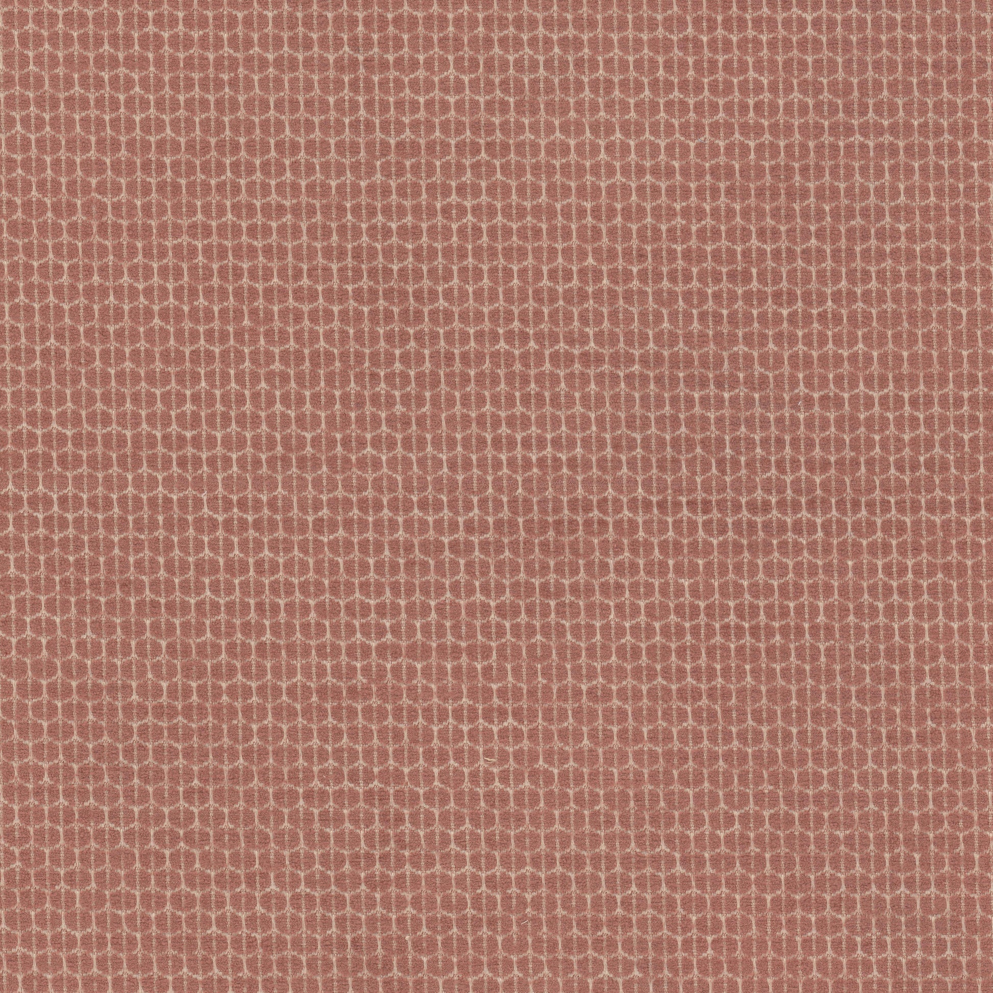 Purchase Stout Fabric Product Bias 1 Shrimp