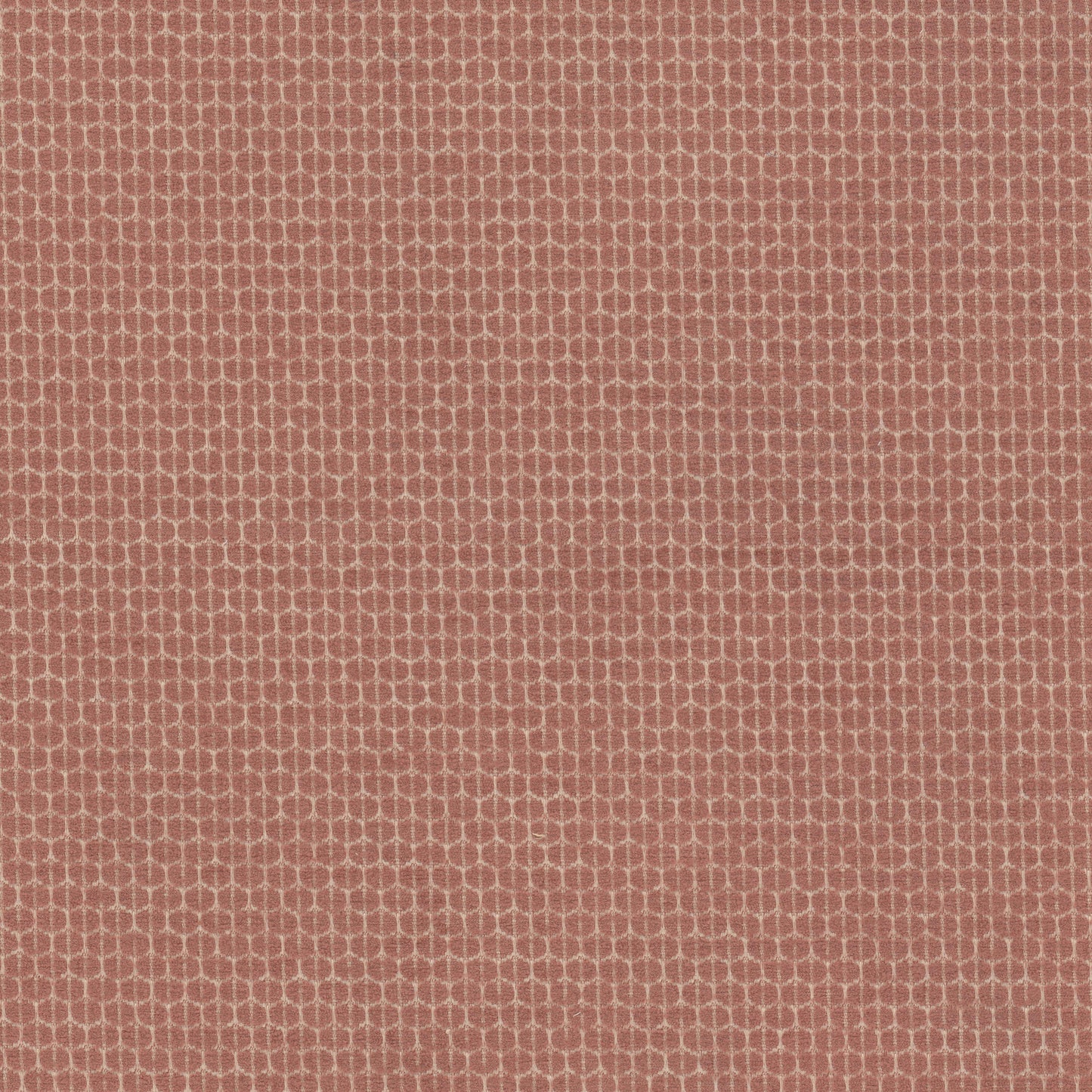 Purchase Stout Fabric Product Bias 1 Shrimp