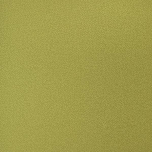 Sample - Bind.23.0 | Kravet Design, Faux Leather Iv - Kravet Design Fabric