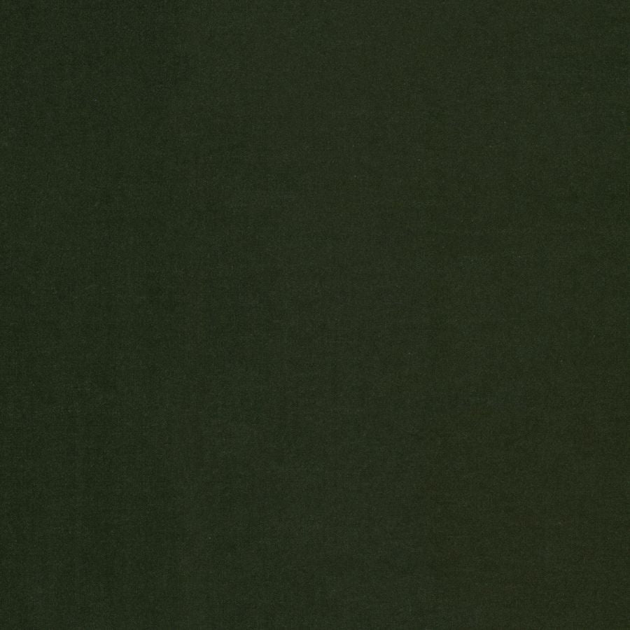 Purchase Stout Fabric Pattern number Blabla 1 Jungle