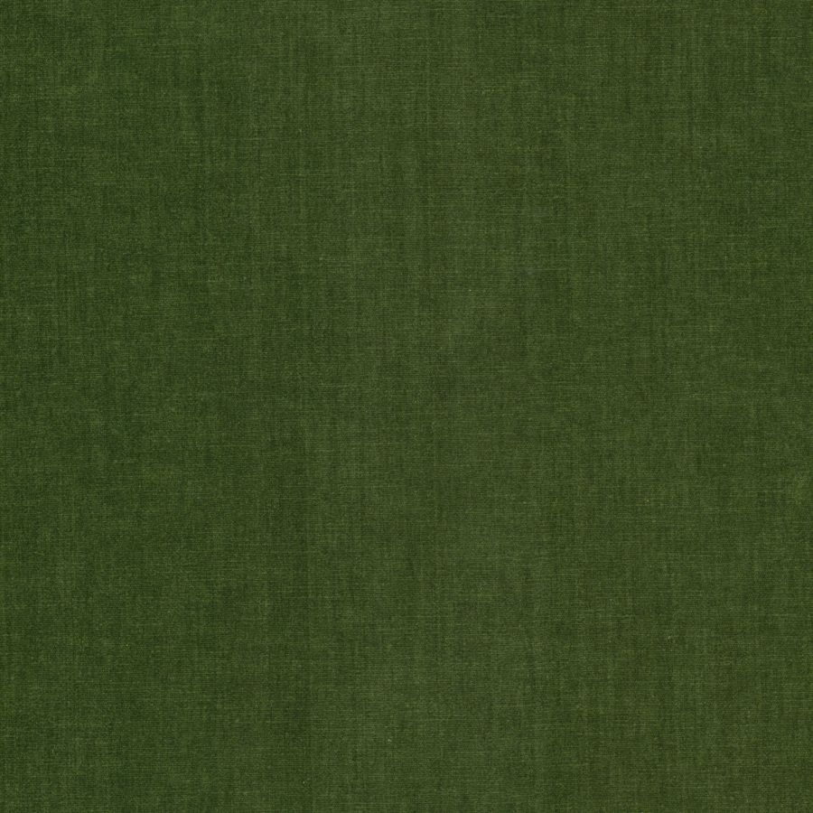 Purchase Stout Fabric SKU# Bountiful 11 Chive