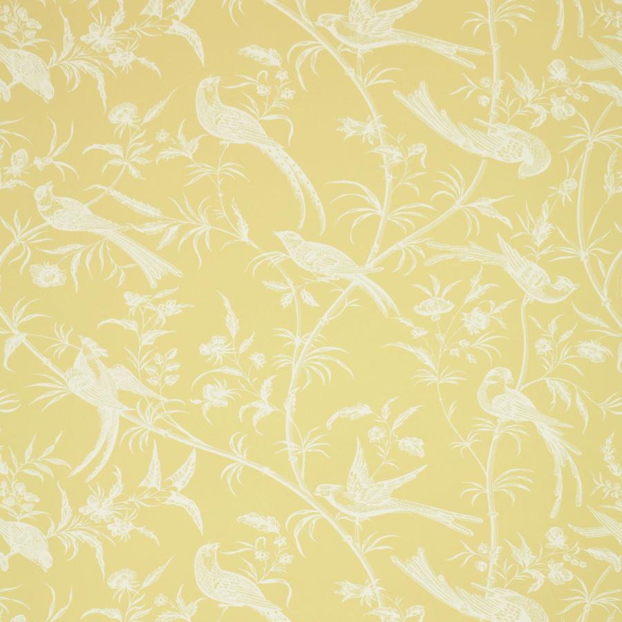View BR-69135.313 Bengali Mimosa by Brunschwig Fils