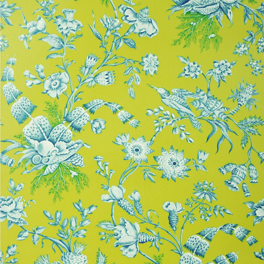 Looking BR-69520.248 Shell Toile Aqua On LimeToile by Brunschwig & Fils Wallpaper