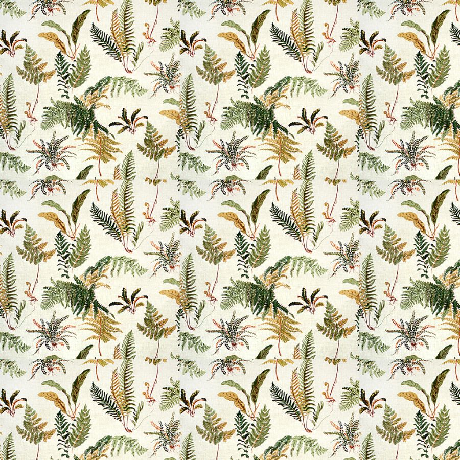 Purchase Br-79305.008.0 Les Fougeres,  - Brunschwig & Fils Fabric