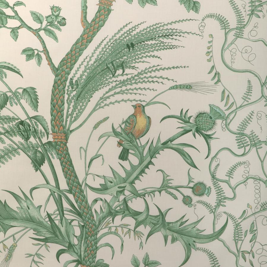 Select BR-79431-435 Bird And Thistle Cotton Print Green Toile by Brunschwig & Fils Fabric