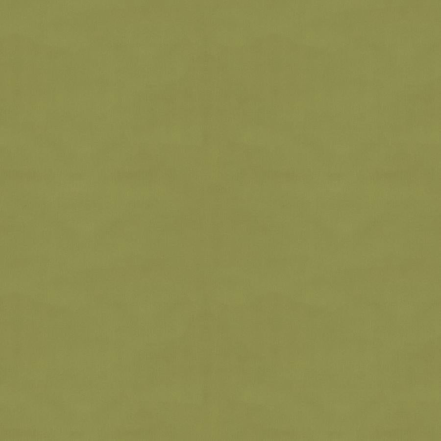 Purchase BR-81081-489 Ninon Taffetas Fern by Brunschwig & Fils Fabric