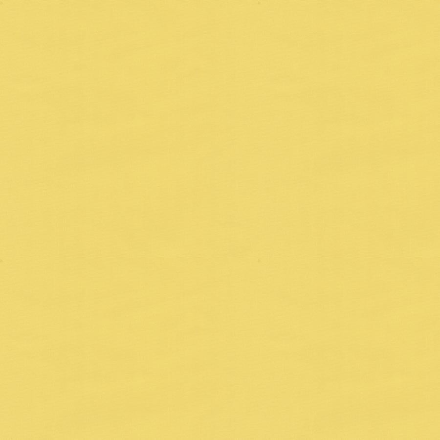 Sample BR-81081-JJI Ninon Taffetas Jaune Brunschwig and Fils Fabric
