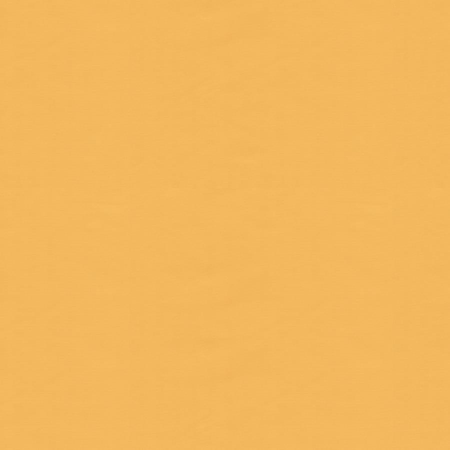 Sample BR-81081-M Ninon Taffetas Jaune Brunschwig and Fils Fabric