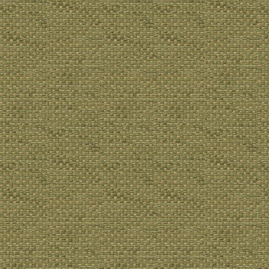 Purchase BR-81782-406 Yorke Chenille Moss Chic And Modern/Contemporary by Brunschwig & Fils Fabric