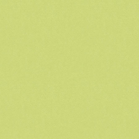 Search BR-89778-404 Autun Mohair Velvet Celery Solid by Brunschwig & Fils Fabric