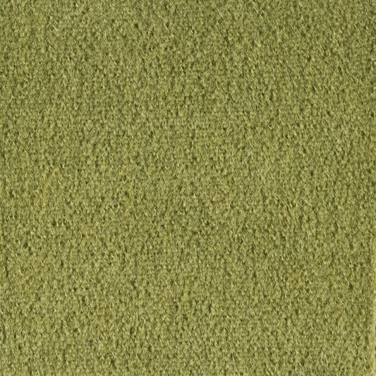 Looking BR-89778-432 Autun Mohair Velvet Leaf Solid by Brunschwig & Fils Fabric