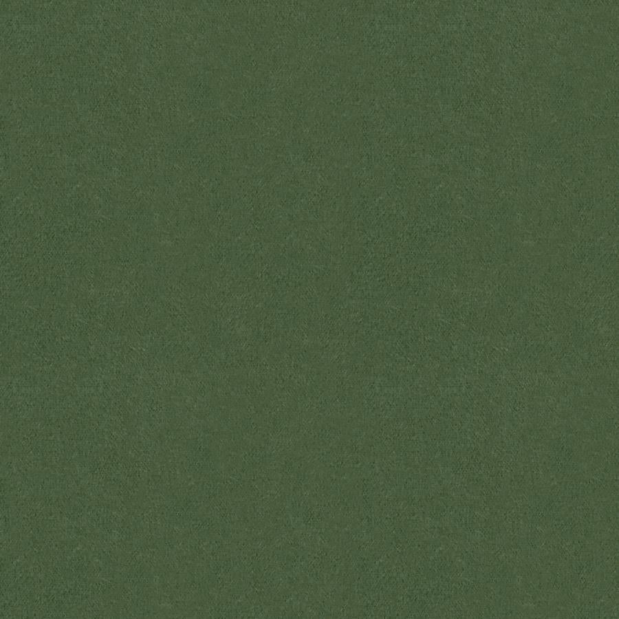 Sample BR-89778-456 Autun Mohair Velvet Bayleaf Solid Brunschwig and Fils Fabric